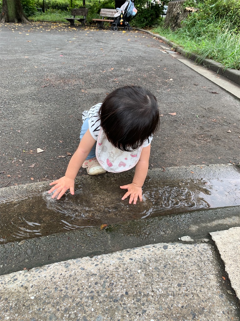 f:id:stoolpigeonn173:20210906164235j:image f:id:stoolpigeonn173:20210906164235j:image