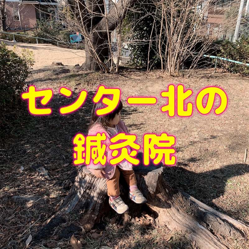 f:id:stoolpigeonn173:20220111162615j:plain