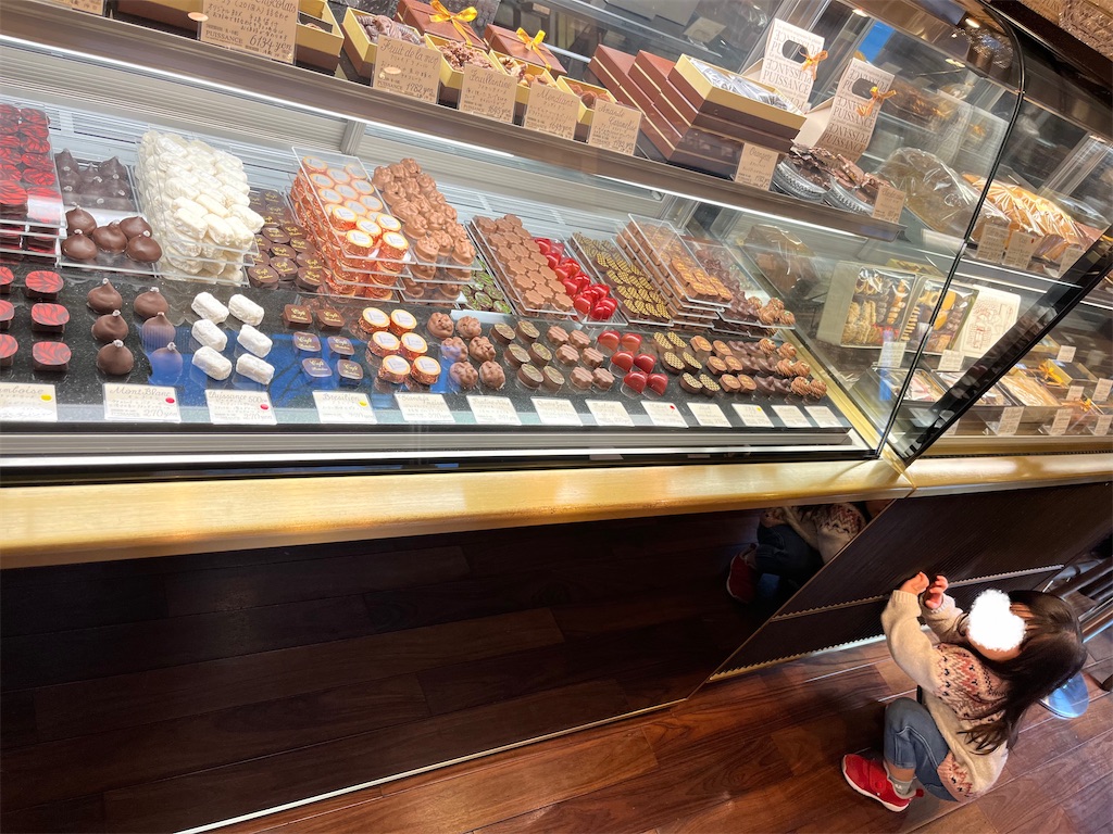 f:id:stoolpigeonn173:20230121210509j:image f:id:stoolpigeonn173:20230121210509j:image