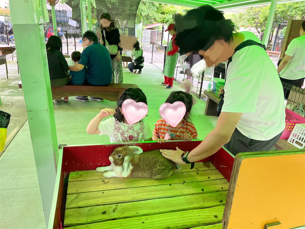 f:id:stoolpigeonn173:20240531105629j:image