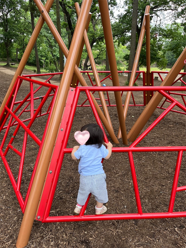 f:id:stoolpigeonn173:20240531111447j:image