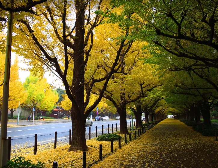 f:id:stopdrinking:20191217125028p:plain f:id:stopdrinking:20191217125028p:plain