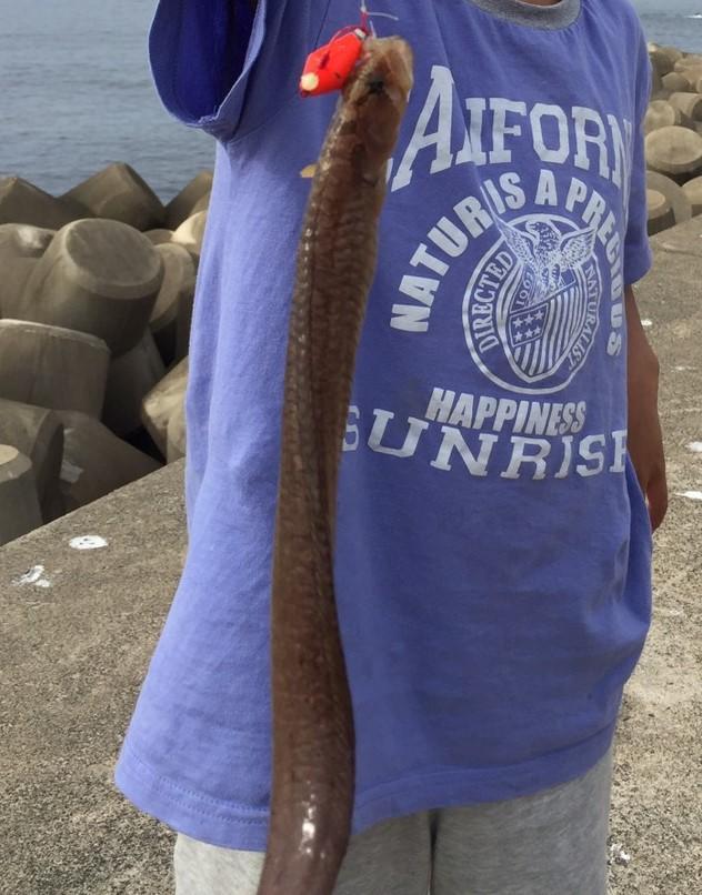 f:id:stormfish:20191115015212j:plain f:id:stormfish:20191115015212j:plain
