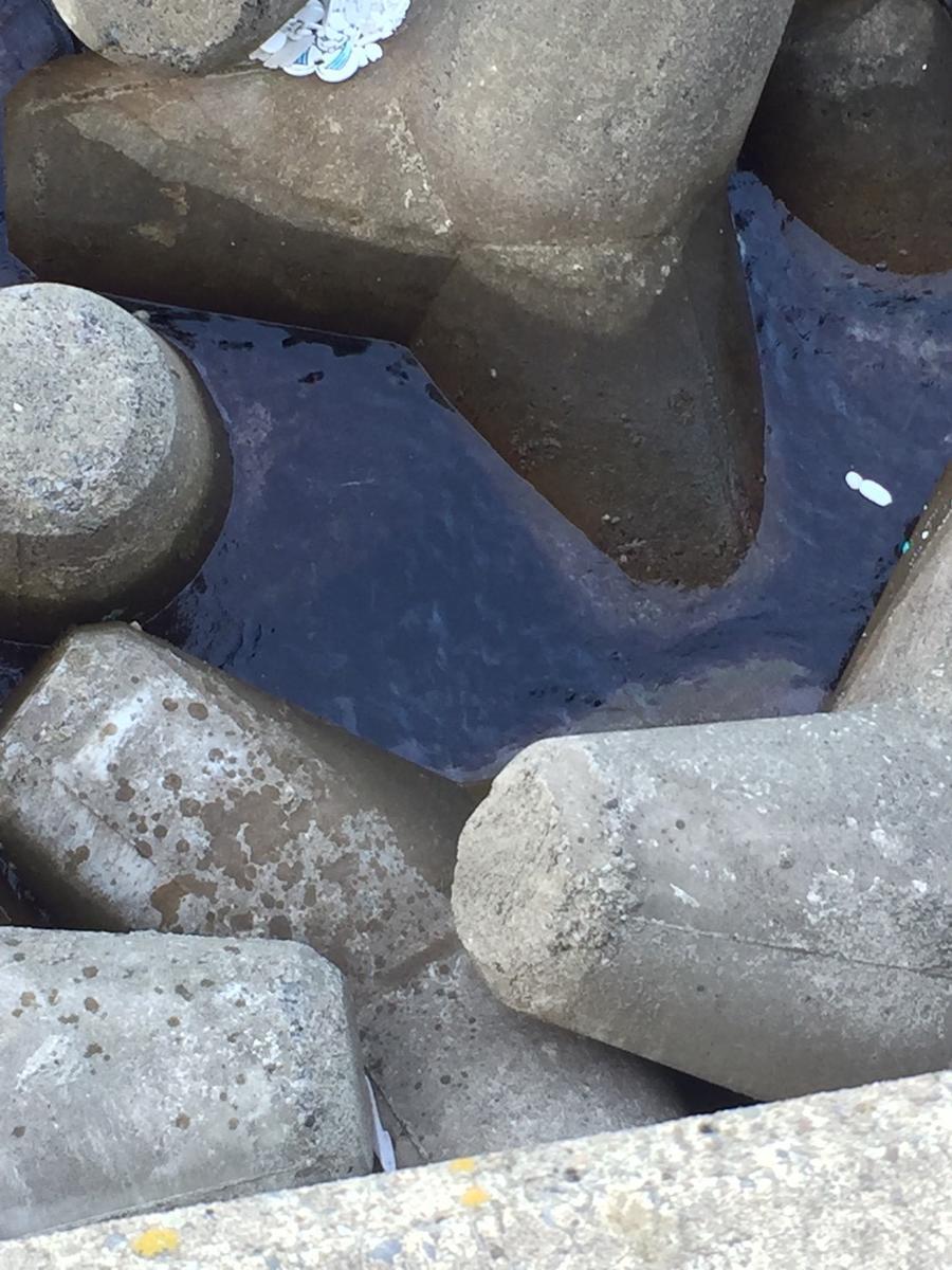 f:id:stormfish:20191115023509j:plain f:id:stormfish:20191115023509j:plain