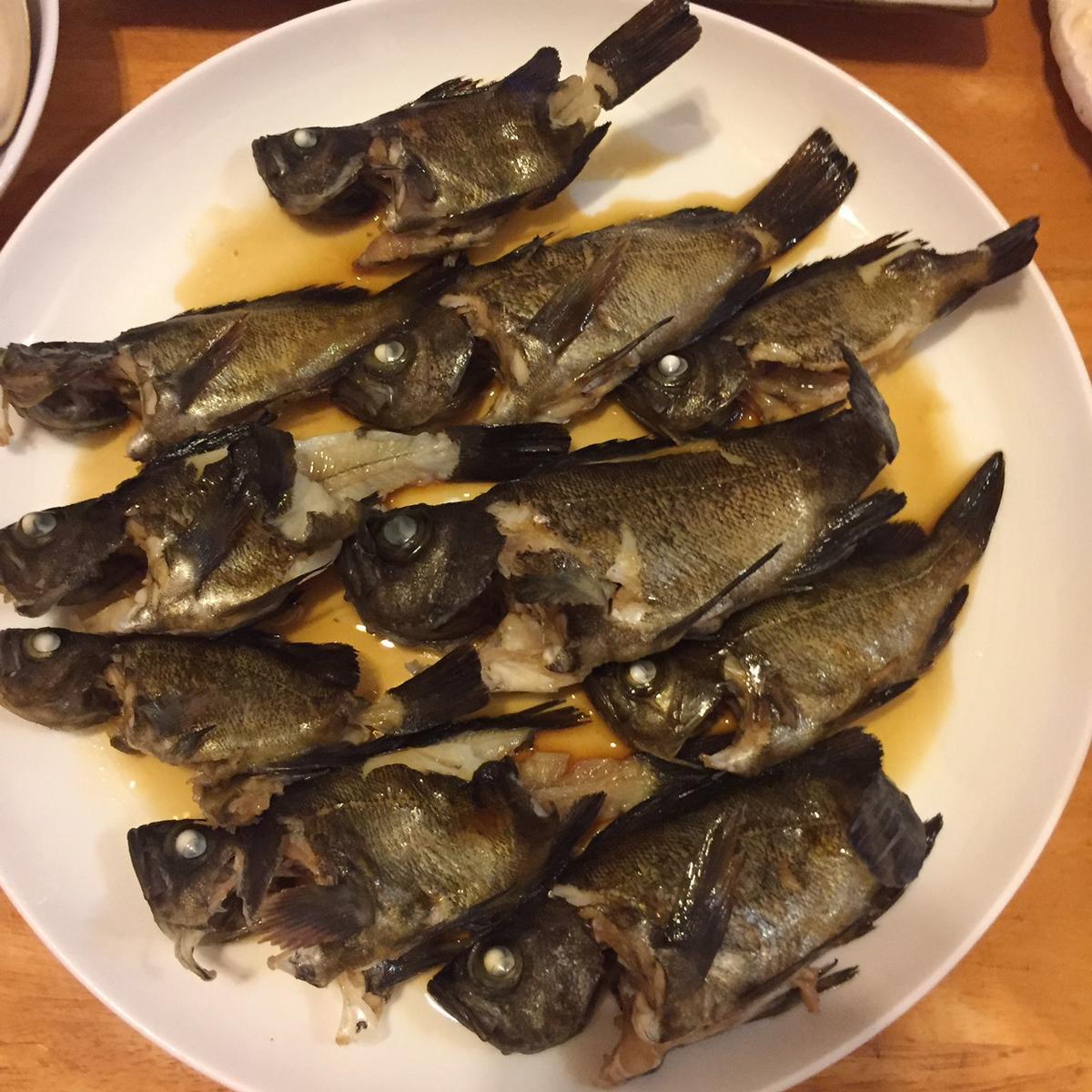 f:id:stormfish:20191115024038j:plain f:id:stormfish:20191115024038j:plain
