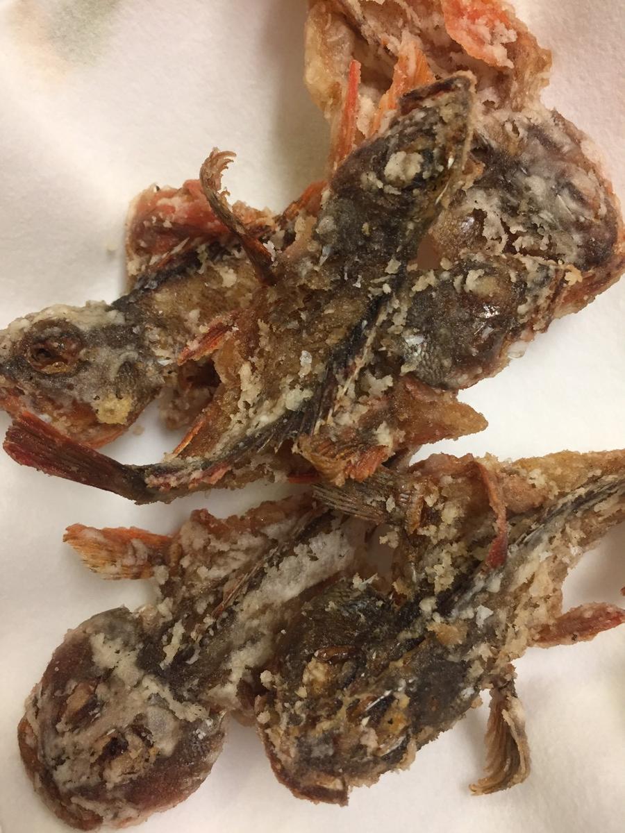 f:id:stormfish:20191115024259j:plain f:id:stormfish:20191115024259j:plain