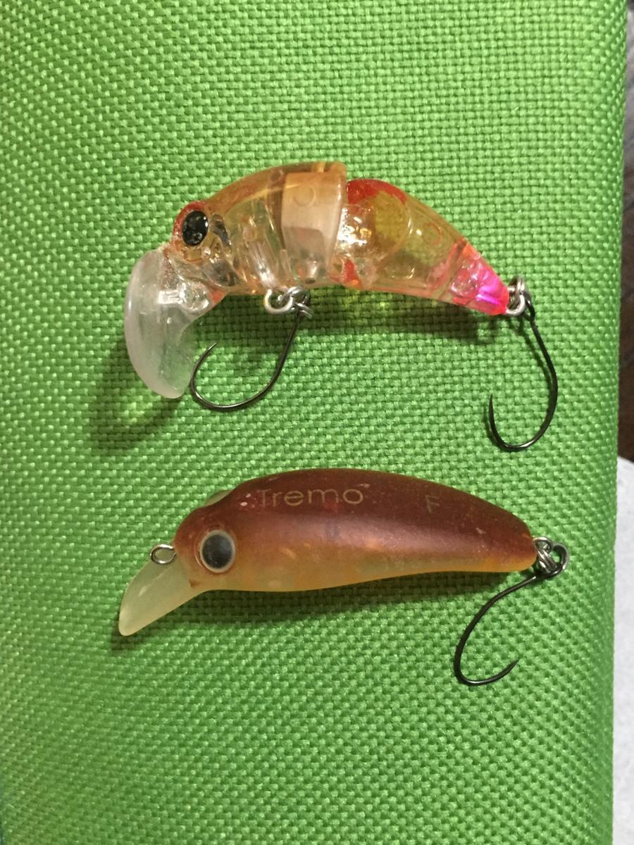 f:id:stormfish:20200216221055j:plain f:id:stormfish:20200216221055j:plain