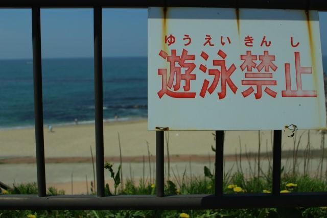 f:id:stormfish:20200411020721j:plain