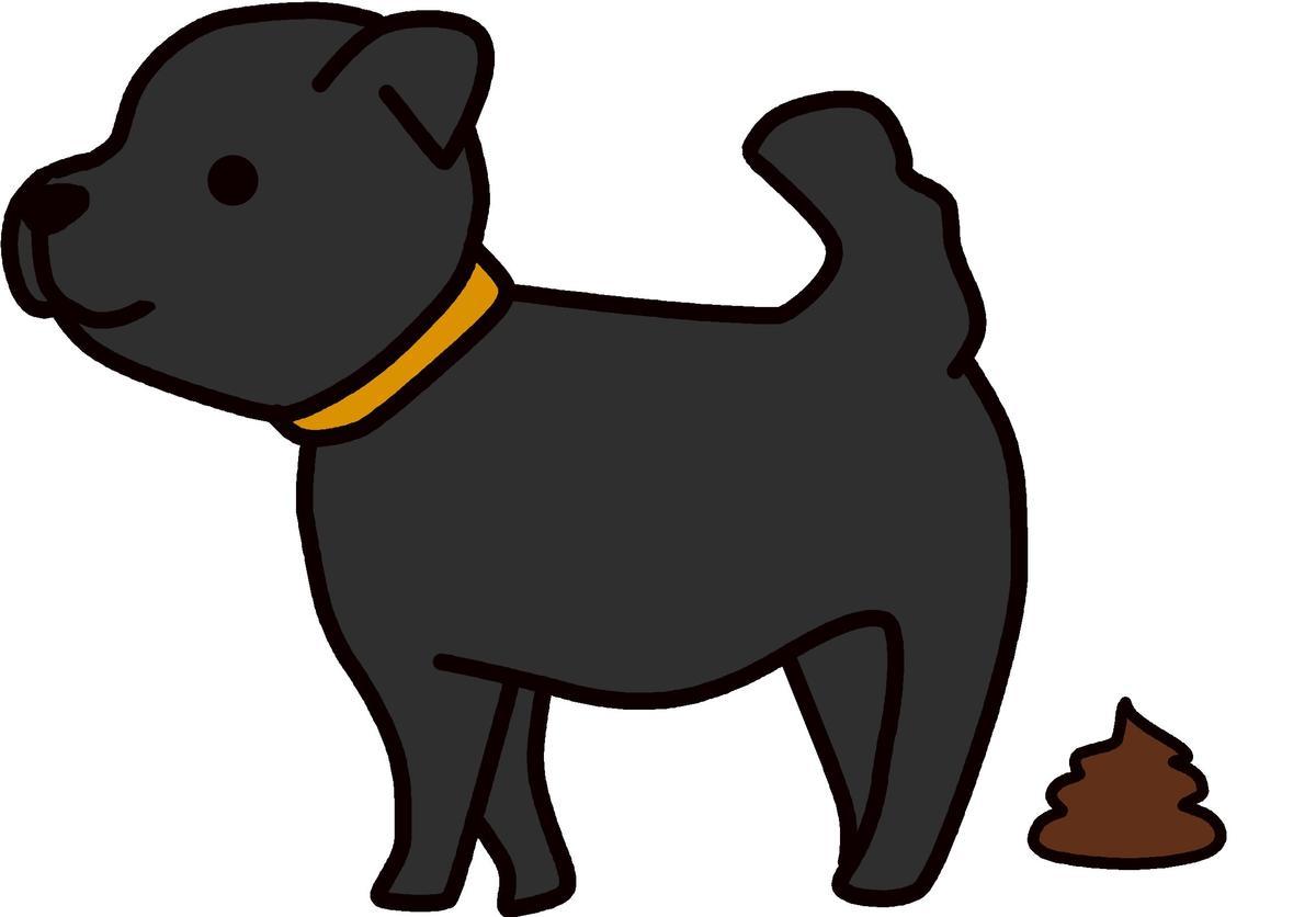 犬が食べてしまったもの 生き物 自然大好き