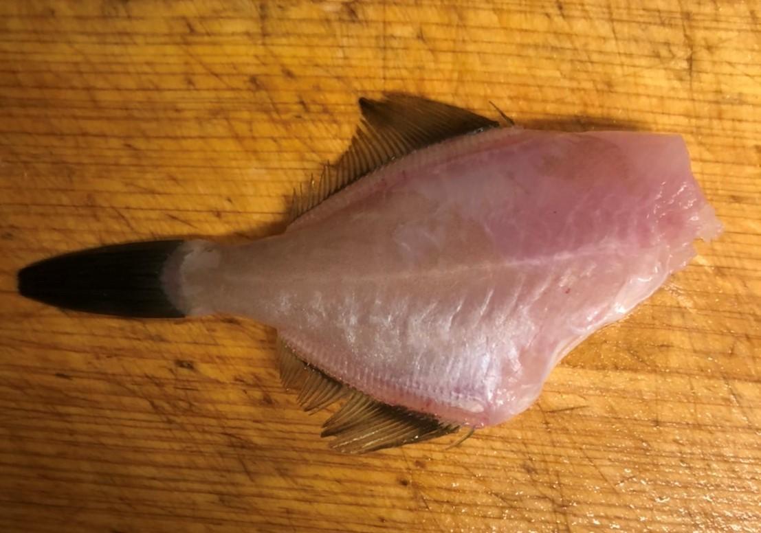 f:id:stormfish:20211023005139j:plain