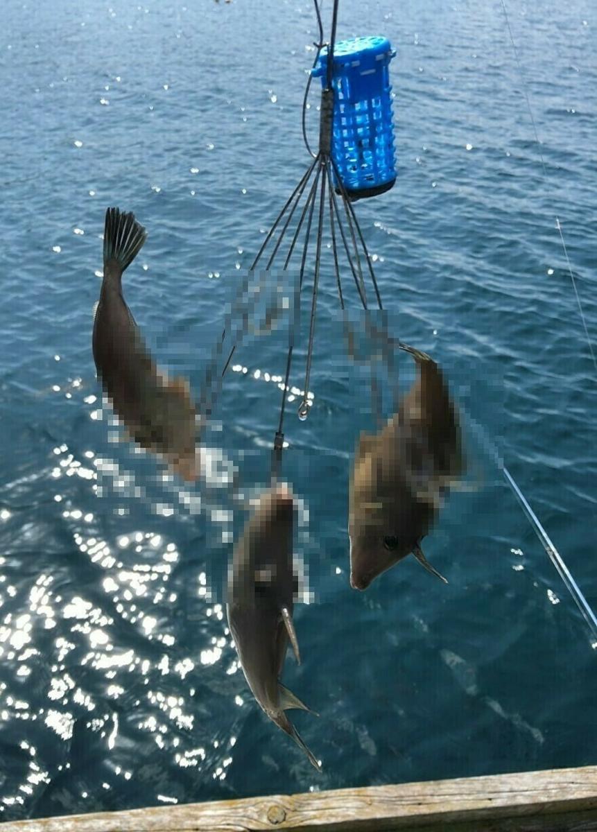 f:id:stormfish:20211127223013j:plain