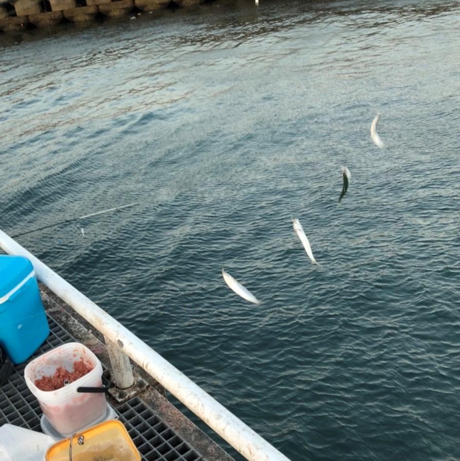 f:id:stormfish:20220101023304j:plain