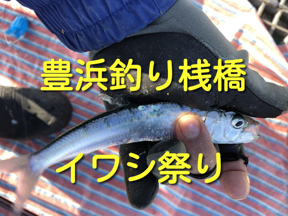 f:id:stormfish:20220101201748j:plain