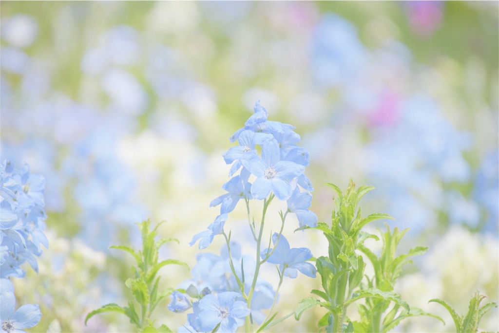 f:id:stormy97:20181224150021j:image