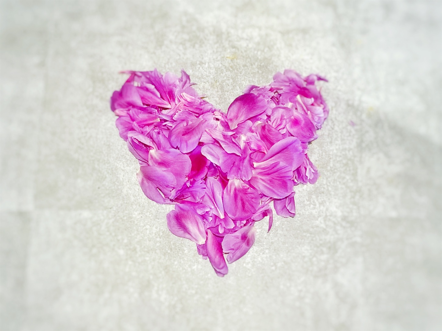 f:id:story365days:20230715110107j:image f:id:story365days:20230715110107j:image