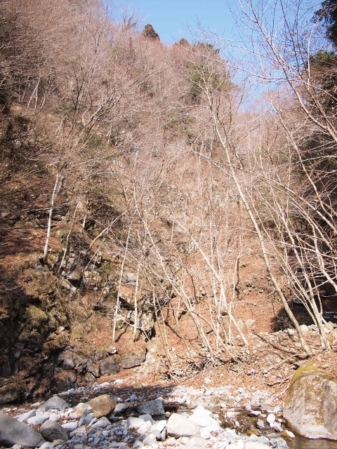 f:id:stoshihama:20180224135241j:image