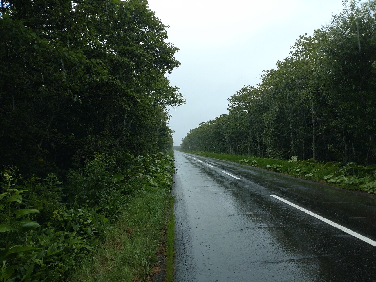 f:id:strandonneur:20230808204235j:image