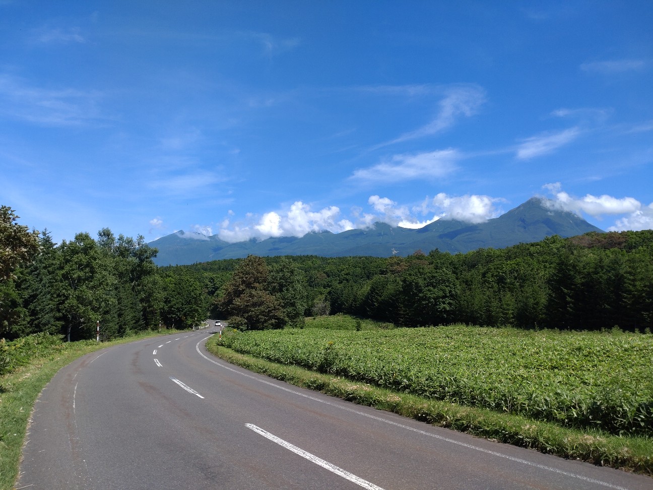 f:id:strandonneur:20230817144429j:image
