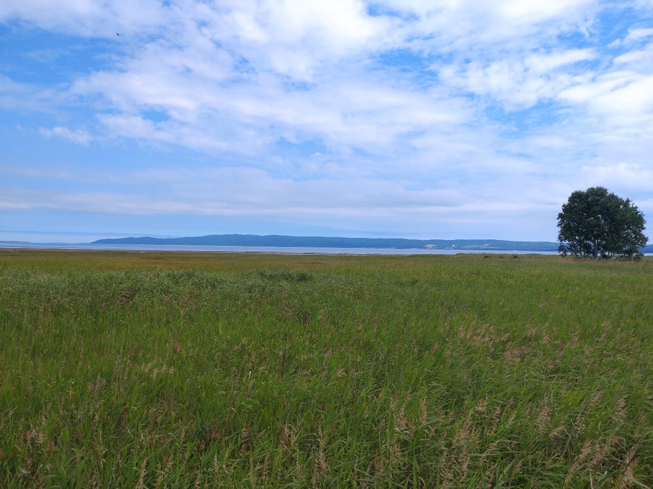f:id:strandonneur:20230817172027j:image