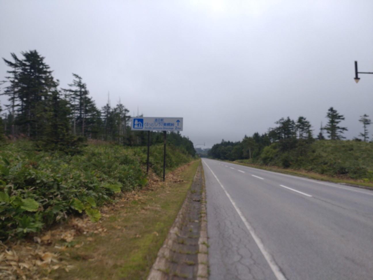 f:id:strandonneur:20230817183311j:image