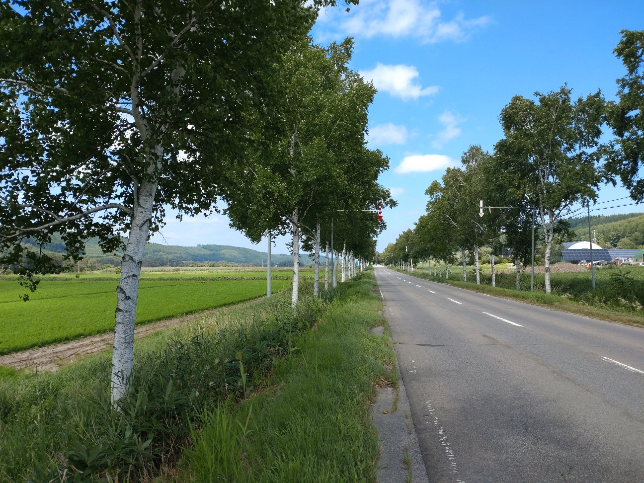 f:id:strandonneur:20230817184028j:image