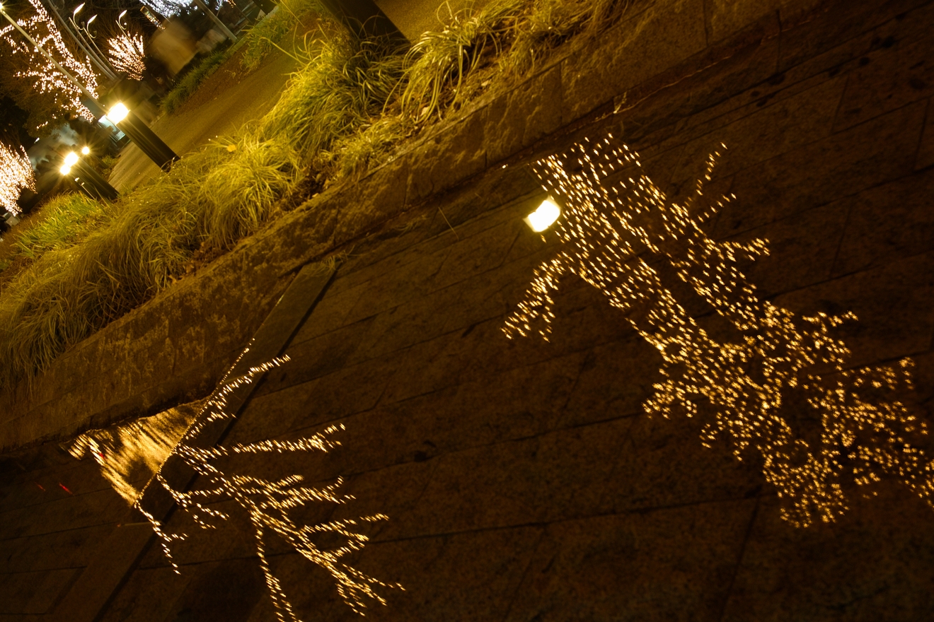f:id:strange_photograph:20091223182225j:image:w660