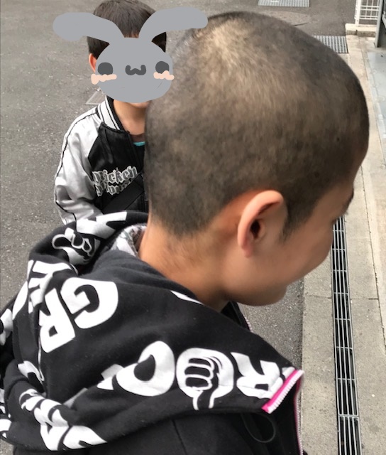 f:id:strawberrybuffet:20190418224154j:plain