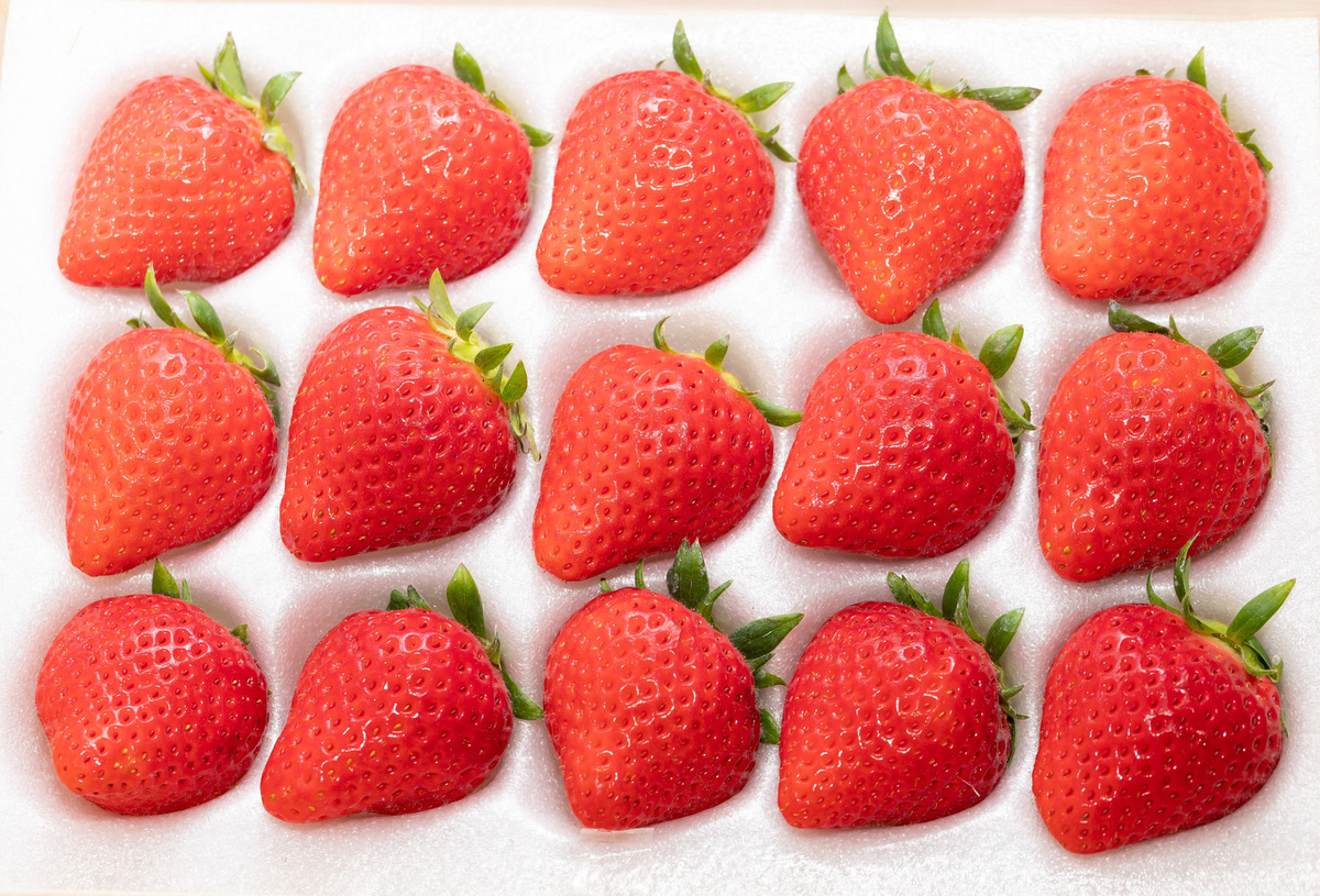 f:id:strawberrybuffet:20190423132749j:plain