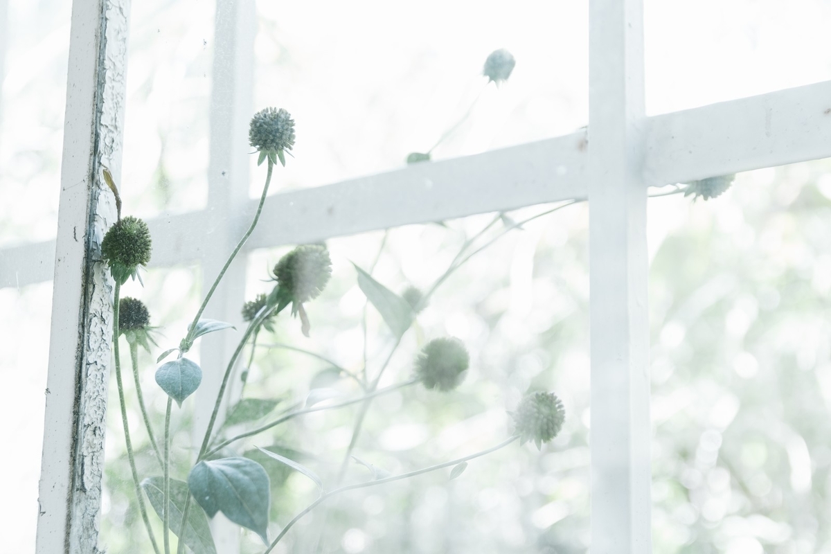 f:id:strawberrybuffet:20190522111747j:plain
