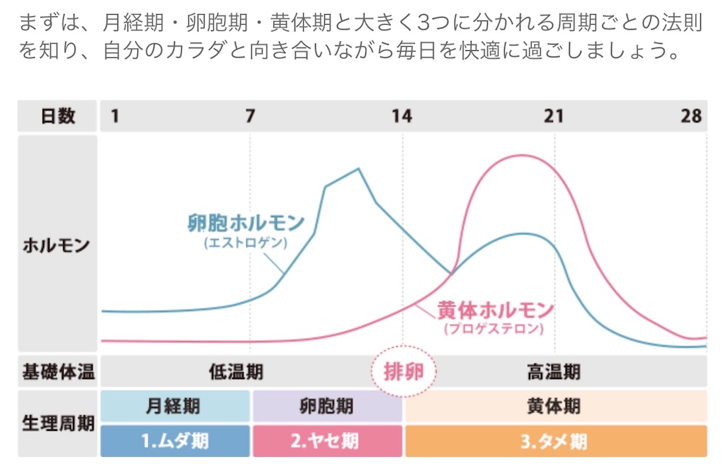 67日目 Mec食 100日チャレンジ 人生最後のダイエット 始めました