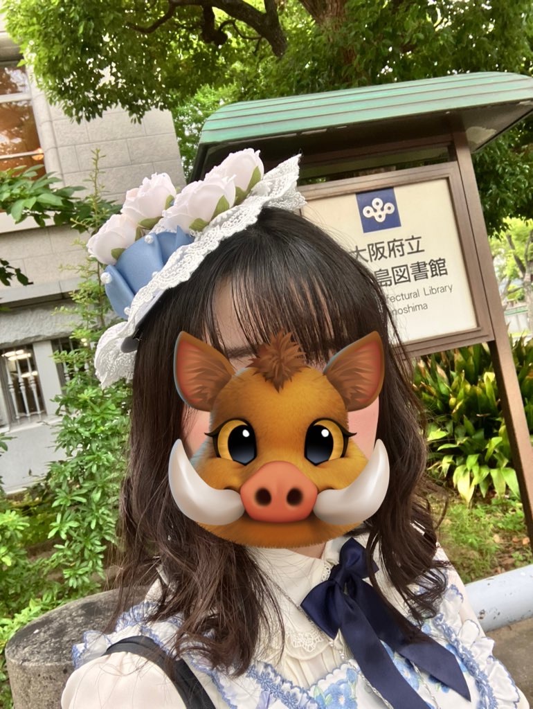 f:id:strawberrytart0509:20250607120633j:image