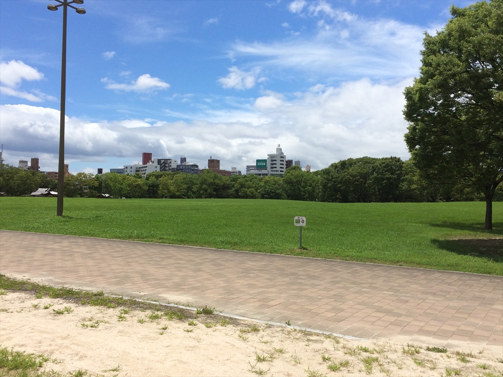 f:id:streamliner77:20160722002609j:plain