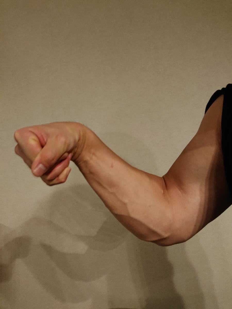 f:id:strength-all-life:20190409212754j:plain f:id:strength-all-life:20190409212754j:plain