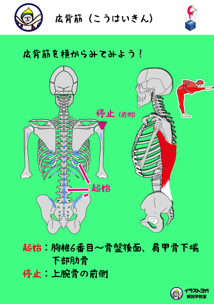 f:id:stretch-profesional:20180902173721p:plain f:id:stretch-profesional:20180902173721p:plain