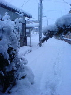 12月22日の大雪