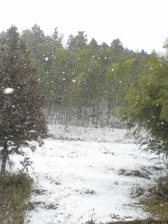 もうすぐ吹雪