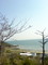 3月29日、絶景ポイントより撮影3