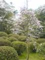 4月16日、忍者村