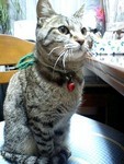 20080222205203