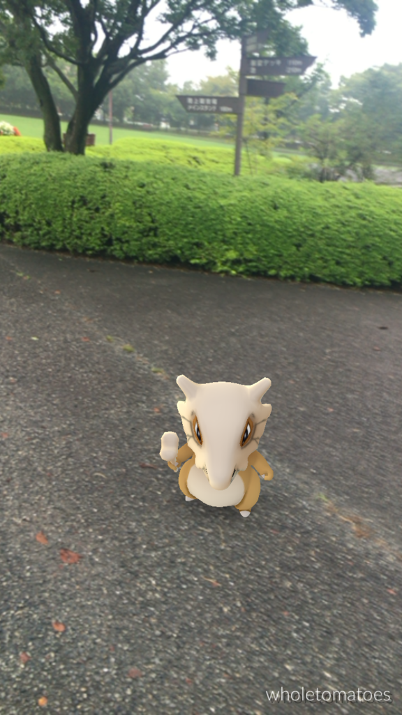 ポケモンgo カラカラ 稲木中央公園 すぐやる課 ポケモンgo カラカラ 稲木中央公園 すぐやる課
