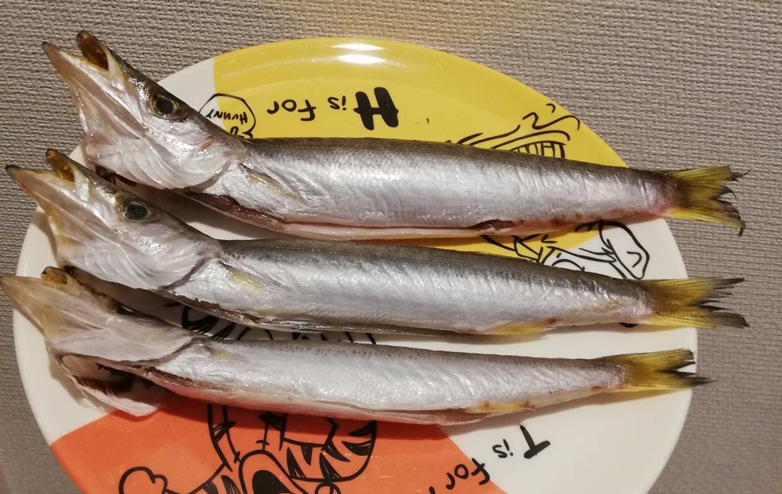 お家で魚活じゃ 宮城県女川町のカマスを塩焼きと煮付けにしたった 魚活ブログ お魚を食べては報告するんじゃ