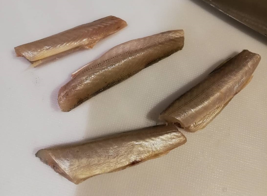 お家で魚活じゃ 宮城県女川町のカマスを塩焼きと煮付けにしたった 魚活ブログ お魚を食べては報告するんじゃ