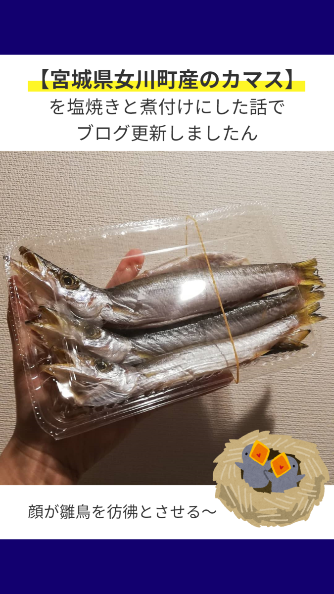 お家で魚活じゃ 宮城県女川町のカマスを塩焼きと煮付けにしたった 魚活ブログ お魚を食べては報告するんじゃ