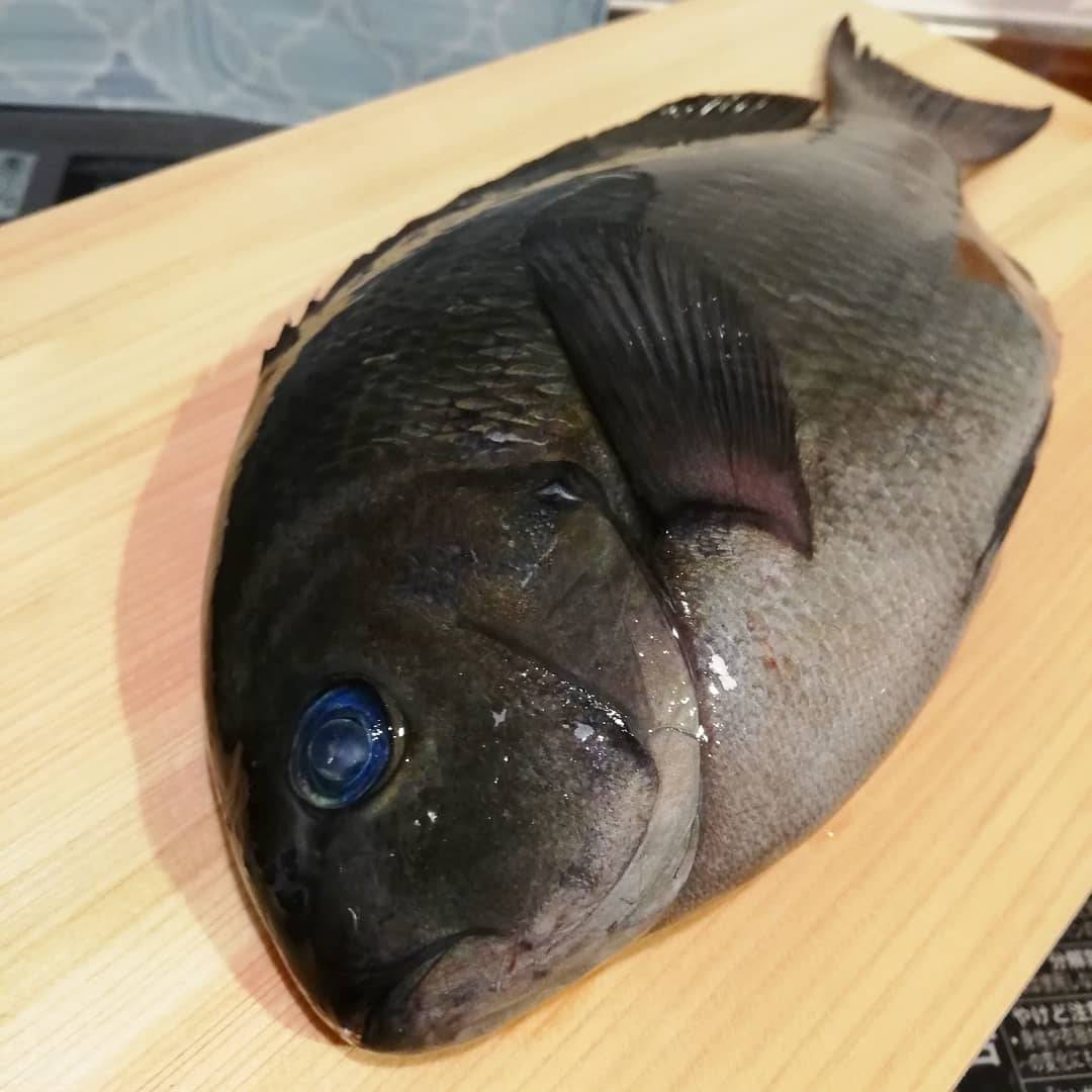 お家で魚活じゃ 島根県浜田の メジナ を丸から調理 美味しい3品できましたよ 魚活ブログ お魚を食べては報告するんじゃ