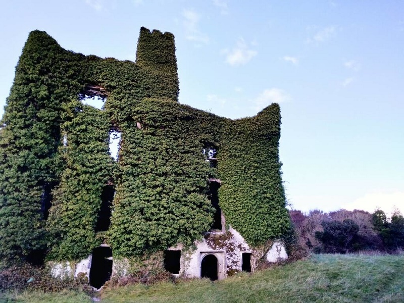 Menlo Castle