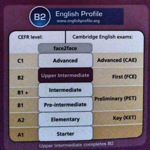 語学学校でのレベル分け
