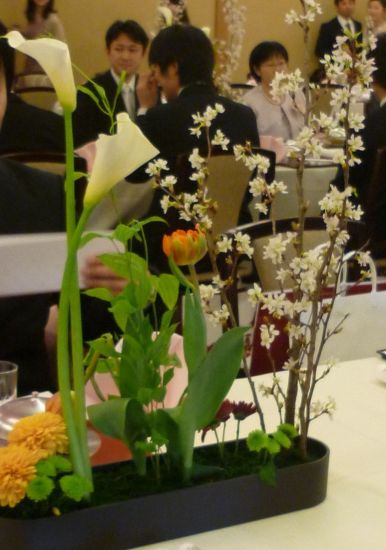 f:id:stroopwaffle:20120421222342j:image:w360 f:id:stroopwaffle:20120421222342j:image:w360