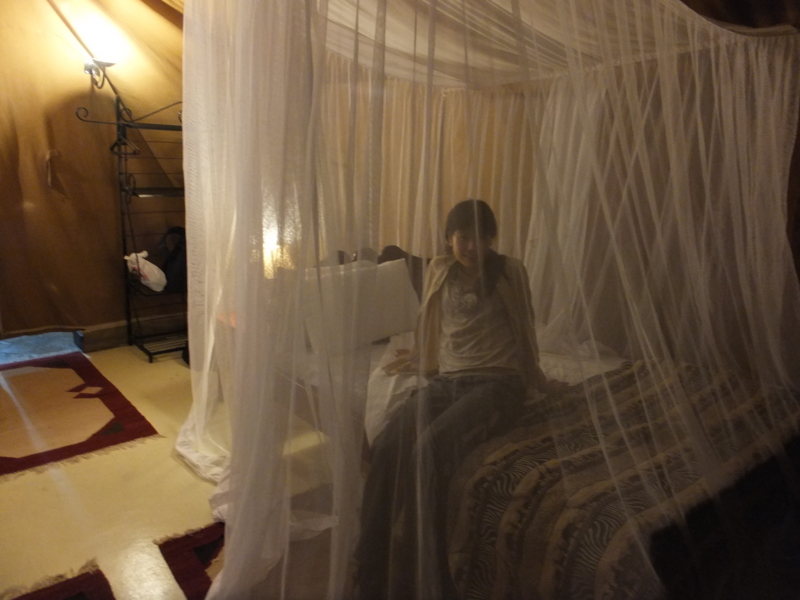 f:id:stroopwaffle:20120811010215j:image f:id:stroopwaffle:20120811010215j:image
