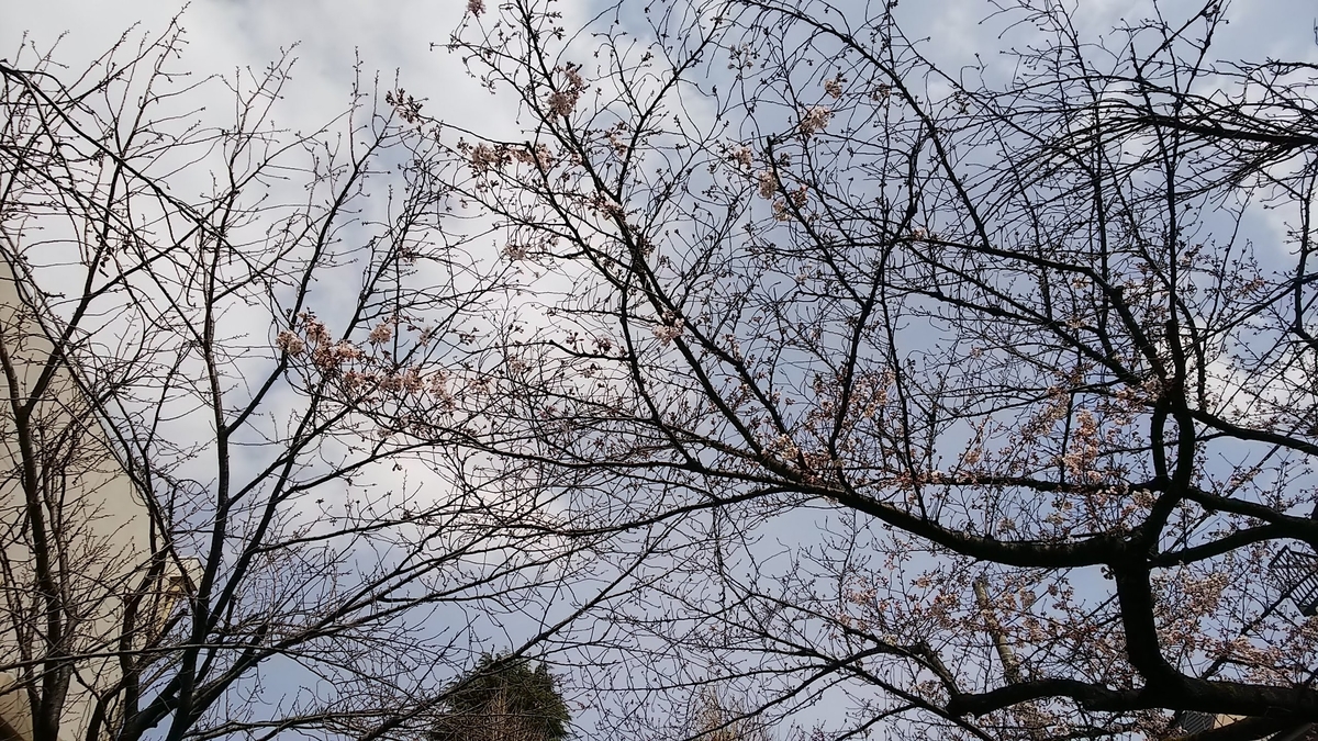 20190323175937