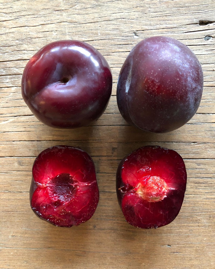 せいようすももの実はプルーン